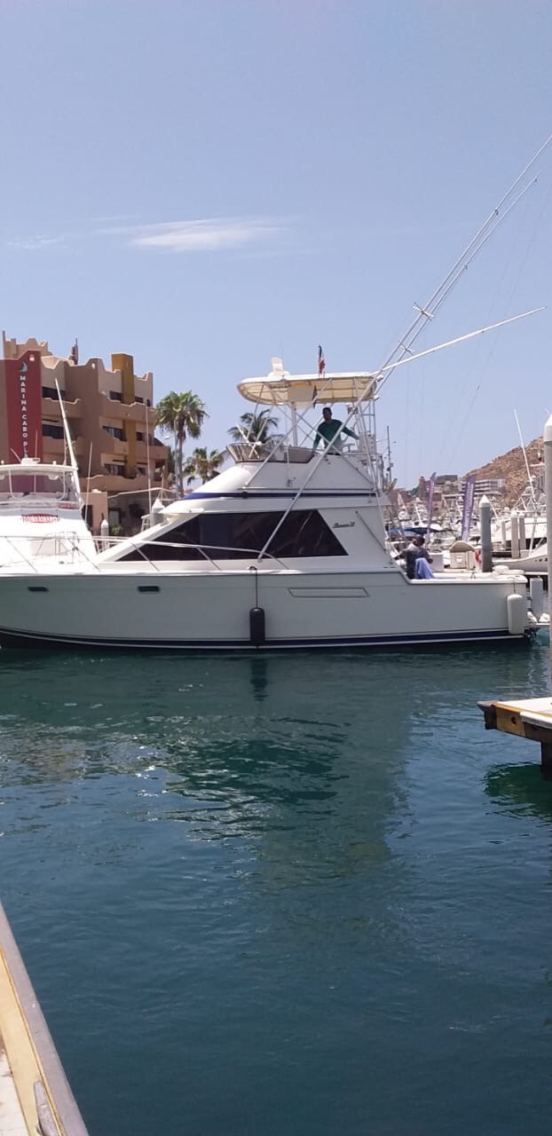 photo5055633788721277075